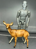 1/6 Scale White Tail Deer - Diorama Item