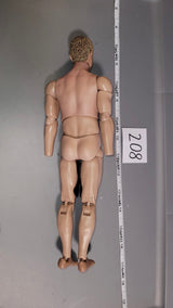 1/6 Scale Nude Figure - Basic Figure - DAM