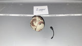 1/6 Scale Modern German GSG-9 Helmet 108107u