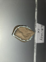 1/6 Scale WWII US Garrison Cap