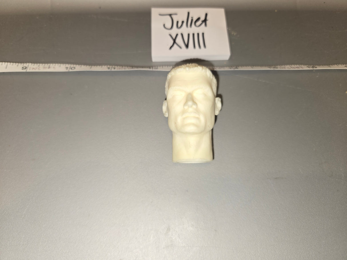 1/6 Scale Unpainted Head Sculpt