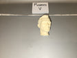 1/6 Scale Dragon Male Head Sculpt - Romeo V