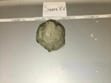 1:6 Scale Modern Russian Helmet - DAM