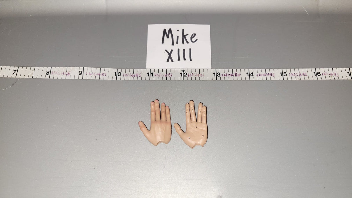 1/6 Scale Hand Set