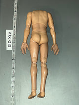 1/6 Scale Nude Basic Body - DID Steiner D80188