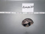 1:6 Scale Modern ACU Camouflage Helmet