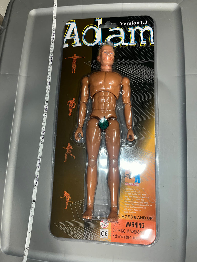 1/6 Scale Adam 1.3 Nude Figure - NIB Dragon