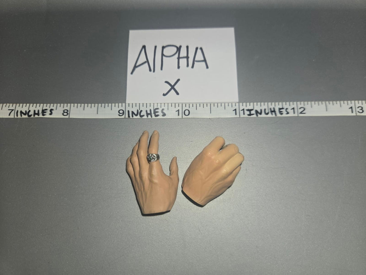 1/6 Scale Hand Set With Rings