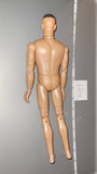 1/6 Scale Nude SOTW Figure