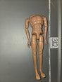 1/6 Scale Nude DID Figure - 312