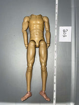 1/6 Scale Nude Basic Figure
