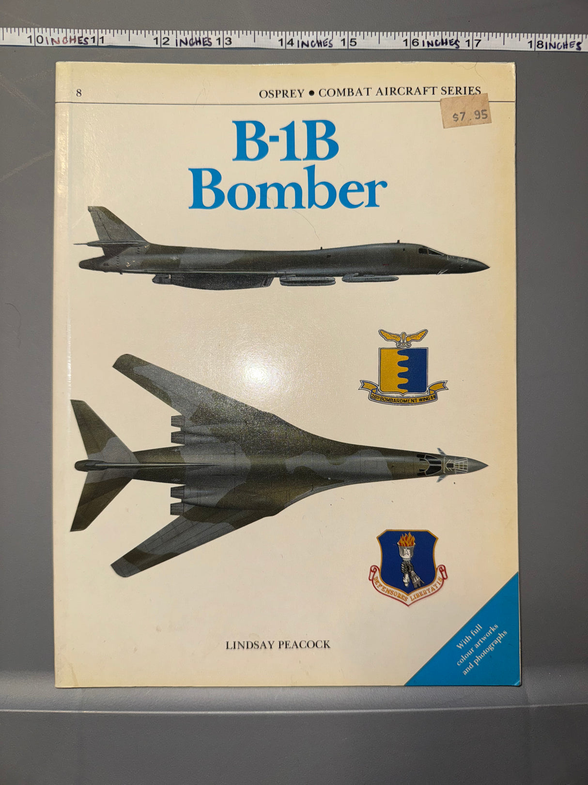 Osprey: B-1B Bomber