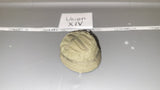 1:6 Scale WWII German Fallshirmjager  Helmet