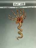 1:6 Scale Science Fiction Alien Ripley Face Hugger - Present Toys Flight Officer