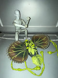 1/6 Scale Adventure Team Convention Venus Fly Trap