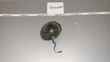 1/6 Scale WWII US Helmet