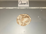1:6 Scale Modern British Desert DPM Boonie Hat
