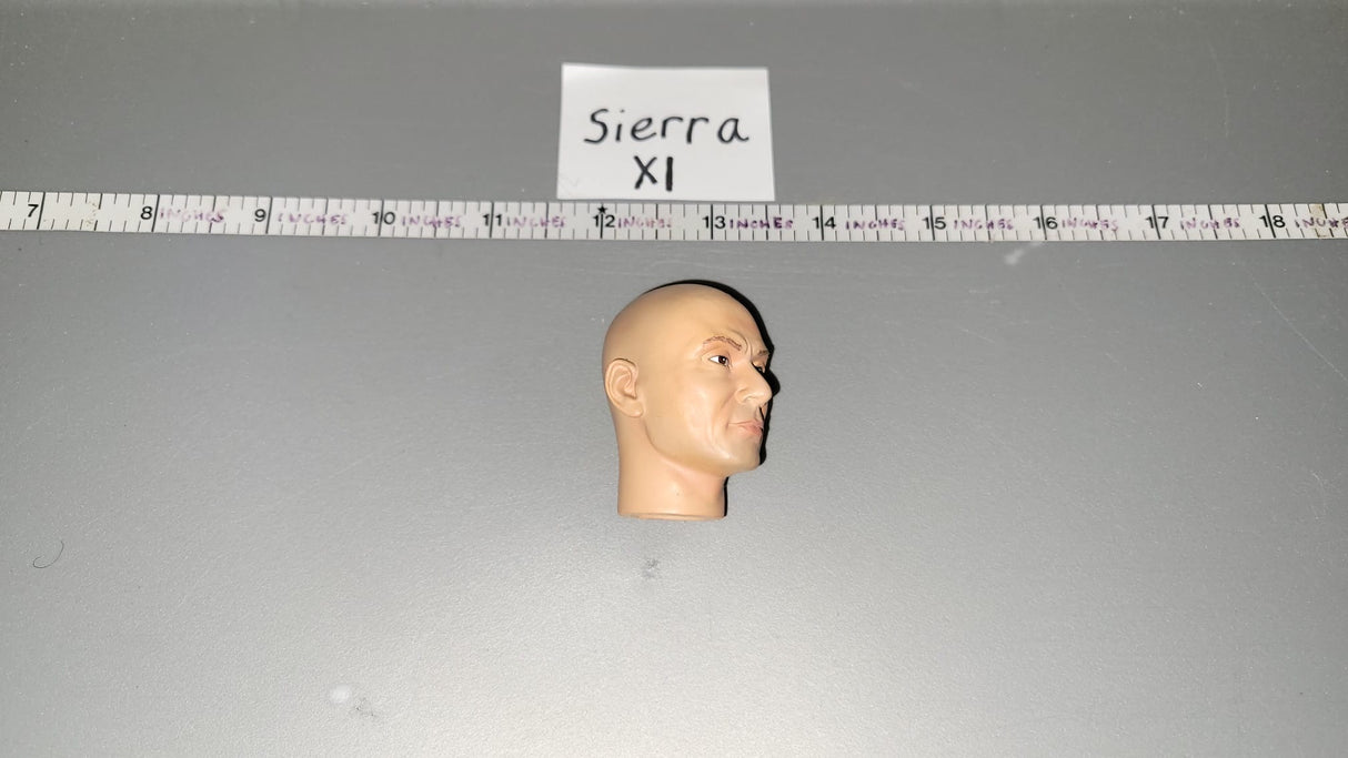 1/6 Scale Dragon Head Sculpt