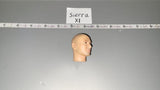 1/6 Scale Dragon Head Sculpt