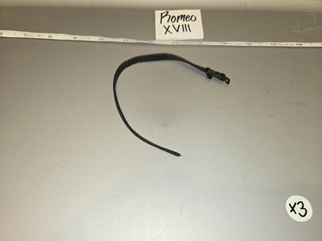 1/6 Scale Modern Era Leather Belt with Buckle - Promeo XVIII