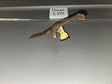 1/6 Scale Animal Diving Eagle - Union XVIII