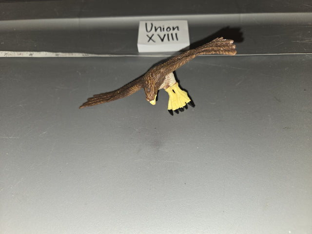1/6 Scale Animal Diving Eagle - Union XVIII