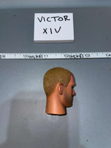 1/6 Scale Dragon Head Sculpt