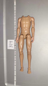 1/6 Scale Nude Basic Figure - DID