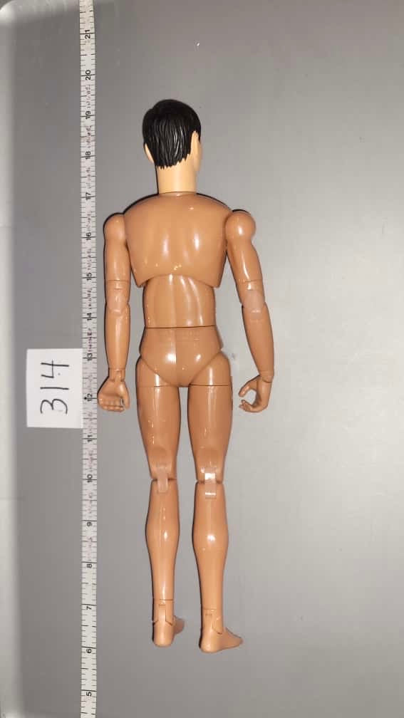 1/6 Scale Nude Dragon Figure