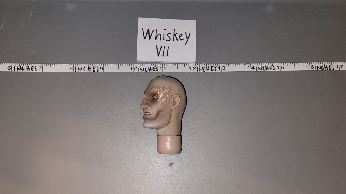 1/6 Scale Zombie Head Sculpt