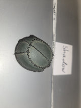 1:6 Scale WWII German Fallschirmjäger Helmet