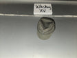 1/6 Scale WWII German Field Cap - Whiskey XV
