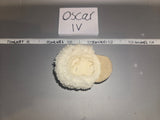 1/6 Scale WWII German Luftwaffe Field Hat Cap