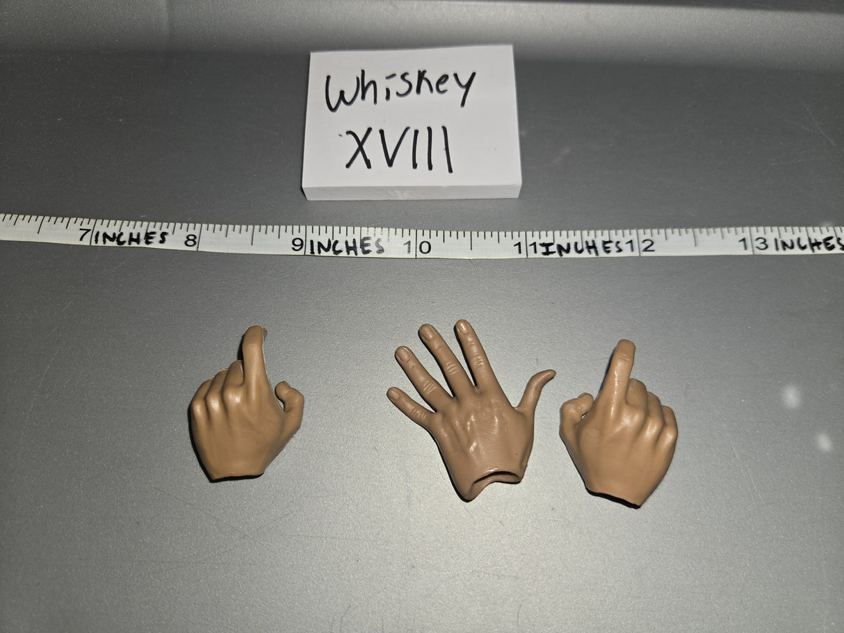 1/6 Scale Nude Figure Hand Lot