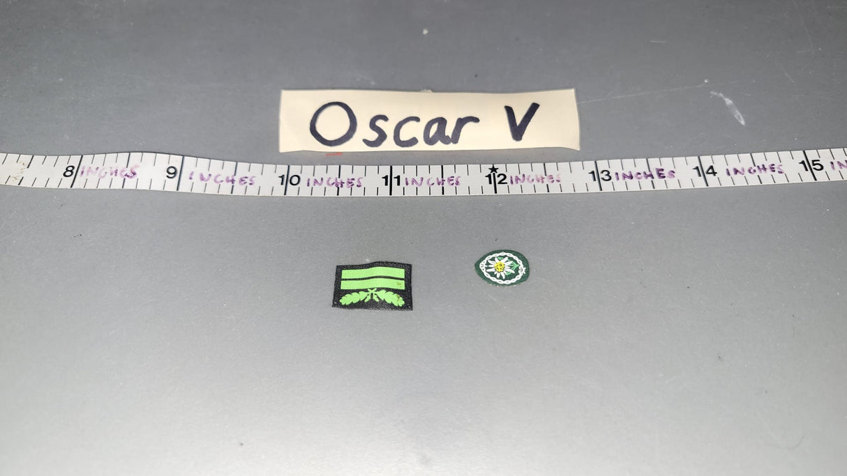 1/6 Scale WWII German Insignia