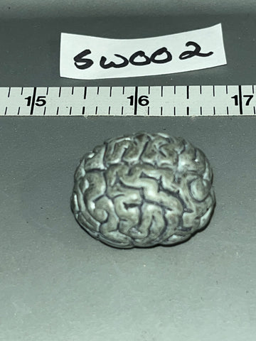 1/6 Scale Science Fiction - Diorama Human Brain