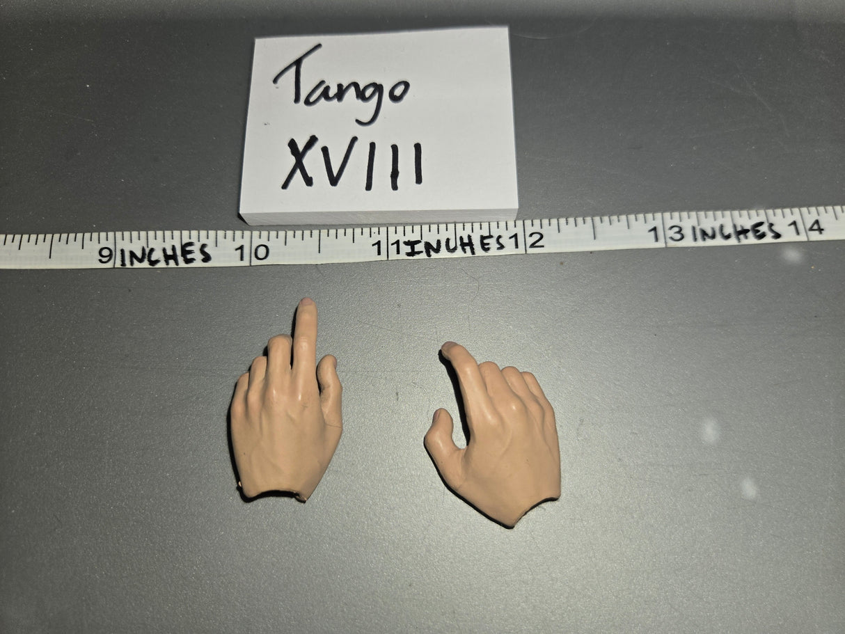 1/6 Scale Hand Set