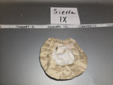 1:6 Scale Modern British SAS SCUD Hunter Desert DPM Boonie Hat