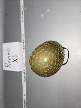 1/6 Scale WWII US Helmet