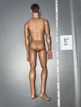 1/6 Scale Nude Basic Figure - DID WWII German