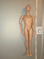 1/6 Scale Nude Dragon Figure Body - 312
