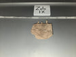 1/6 Scale WWII US M1936 Musette Bag - Zulu IX