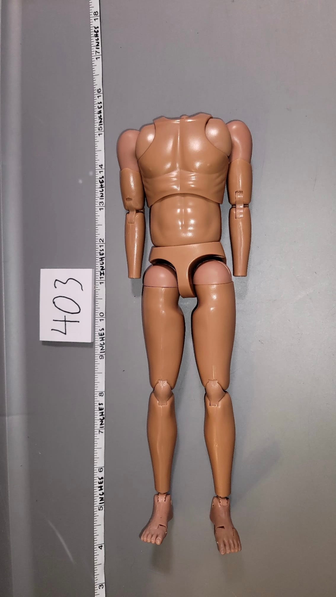 1/6 Scale Nude Figure DID - Basic Figure