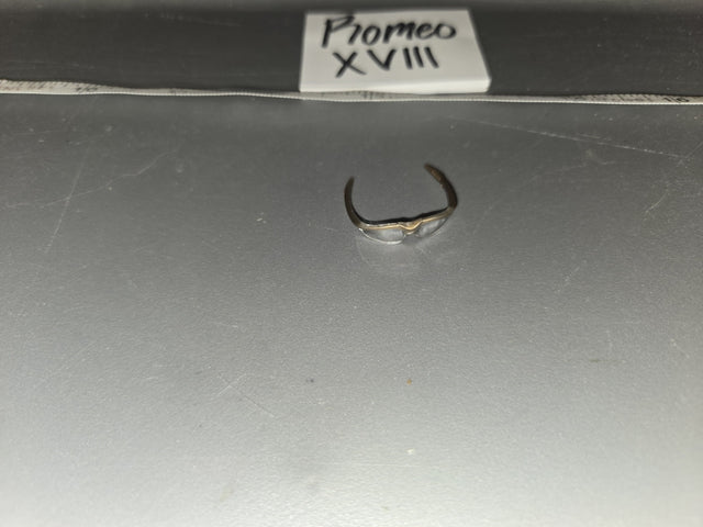 1/6 Scale Modern Era Wraparound Sunglasses - Promeo XVIII