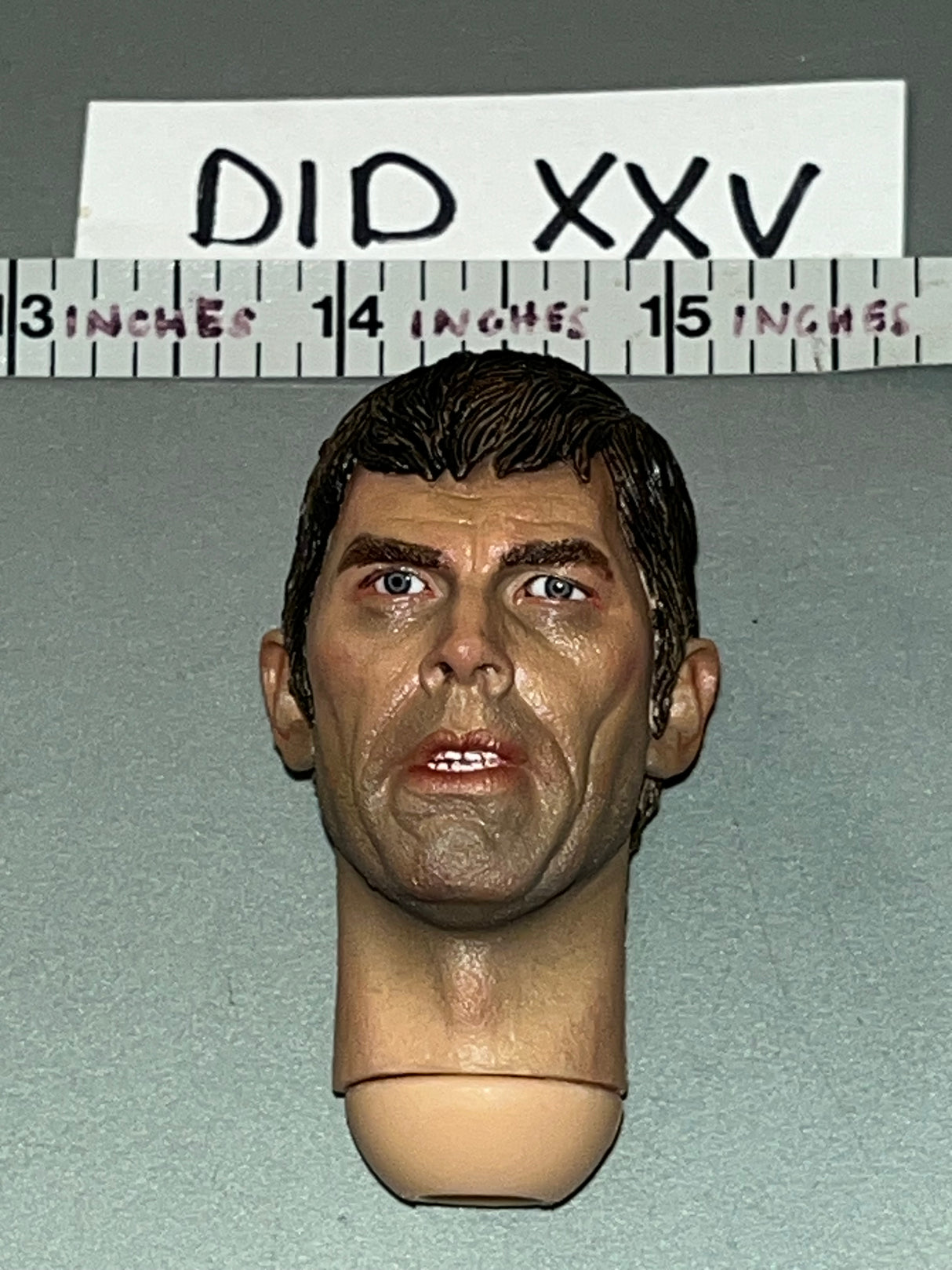 1/6 Scale WWII German Head Sculpt - DID Steiner D80188