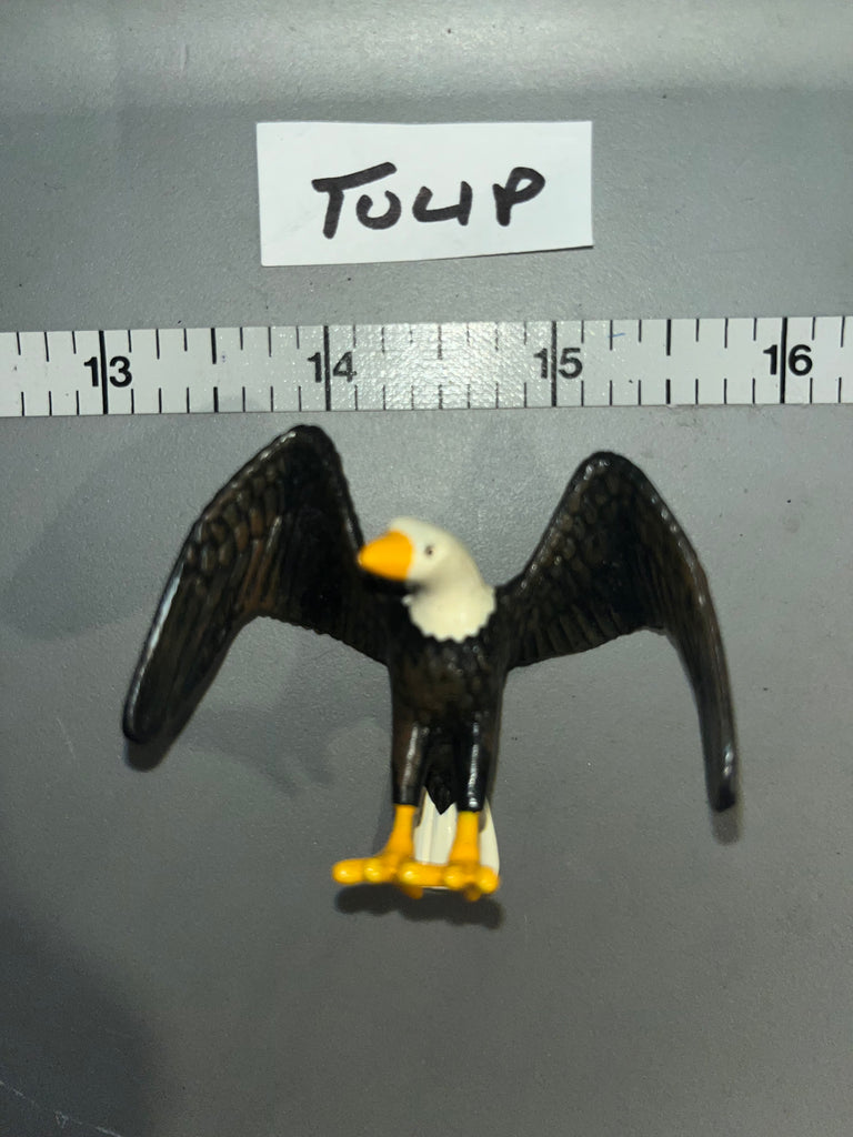 1/6 Scale Animal - Diorama Eagle