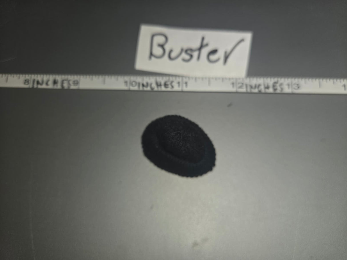 1/6 Scale Modern Beanie