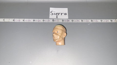 1/6 Scale Dragon Head Sculpt