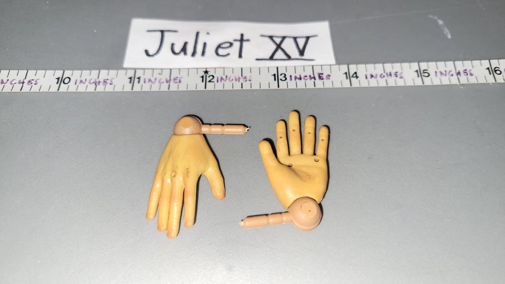 1/6 Scale Nude Figure Hand Lot