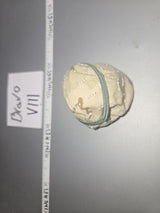 1/6 Scale Modern Desert Helmet Cover